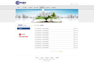 北京網站建設 原創先鋒，案例引領未來